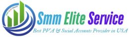 smmeliteservice.com logo